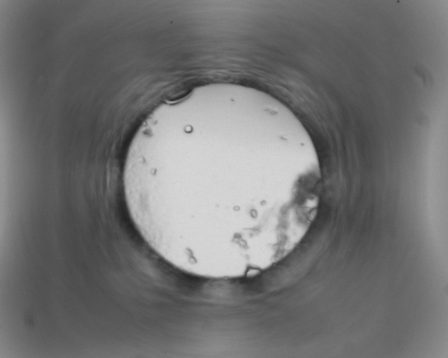 X0000113850231200910081652