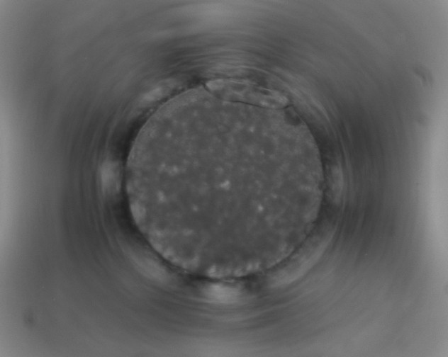 X0000113850232200910081652