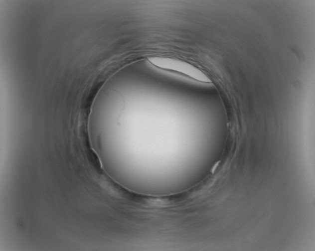 X0000113850233200910081652