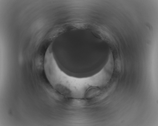 X0000113850234200910081652