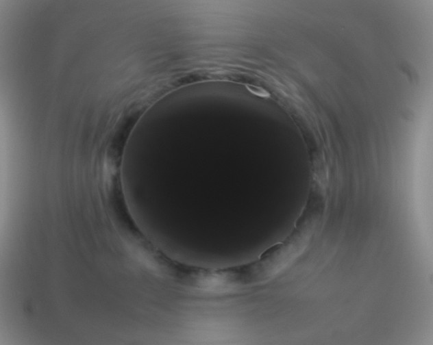 X0000113850235200910081652