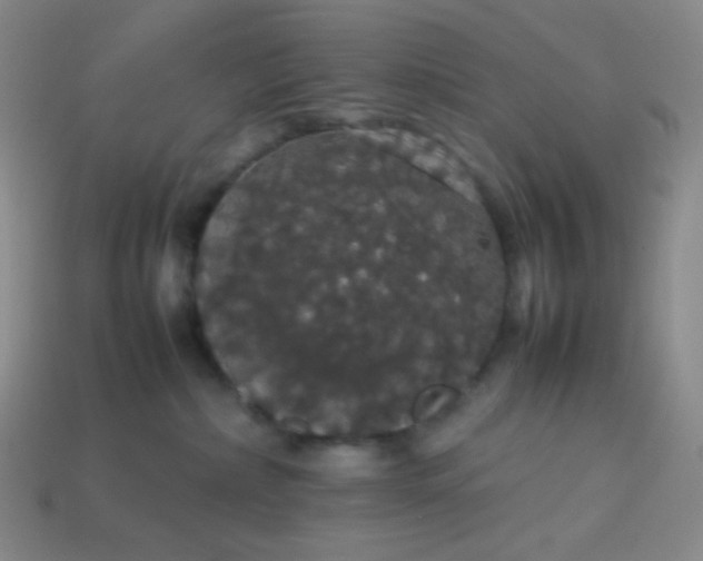 X0000113850236200910081652