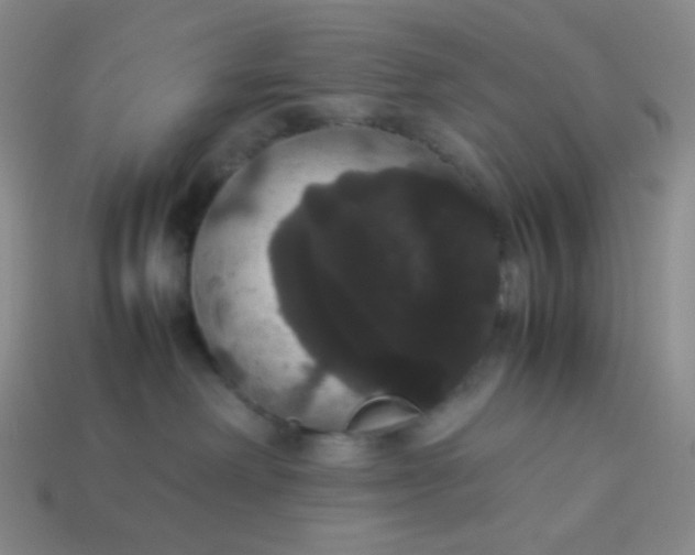 X0000113850238200910081652