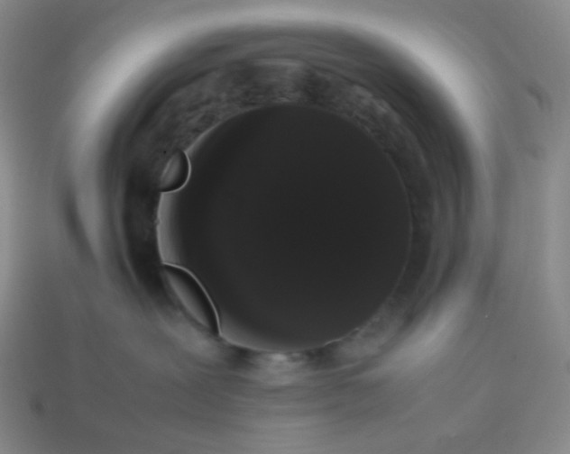 X0000113850239200910081652