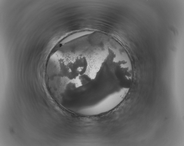 X0000113850241200910081651