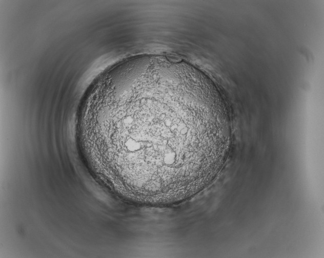 X0000113850242200910081651