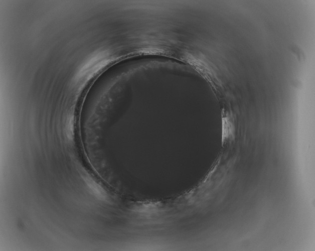 X0000113850243200910081651