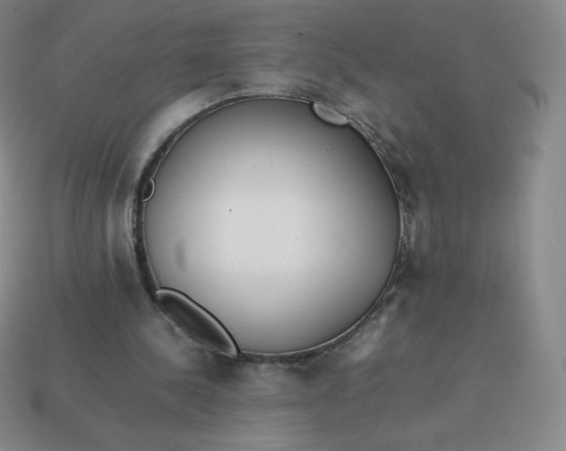 X0000113850244200910081651