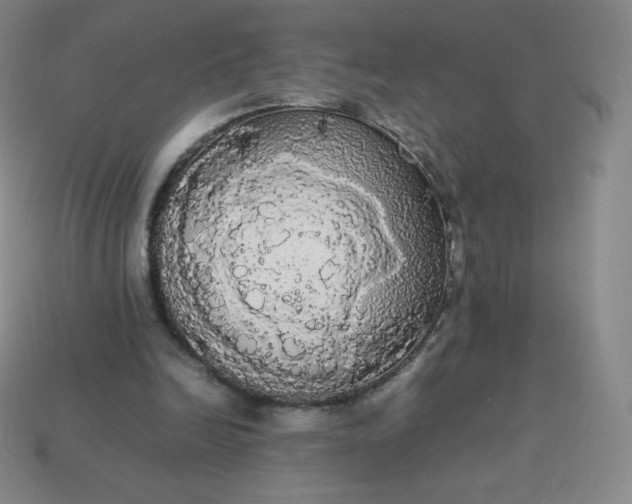 X0000113850246200910081651