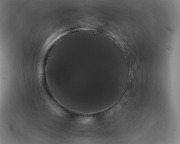 X0000113850247200910081651