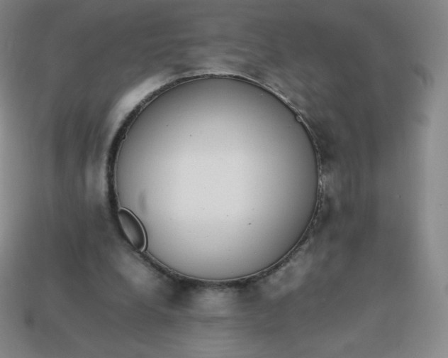 X0000113850248200910081651