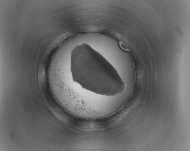 X0000113850254200910081651