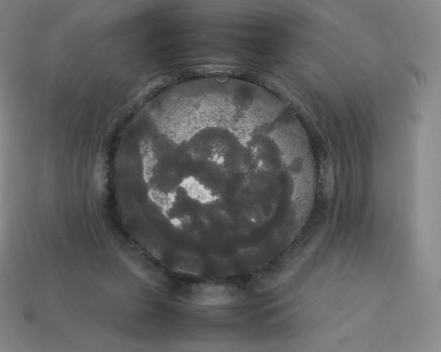 X0000113850255200910081651