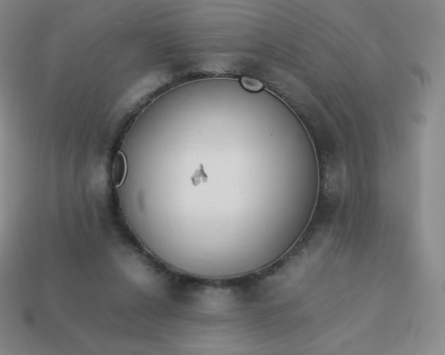 X0000113850256200910081651