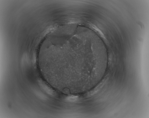 X0000113850257200910081651