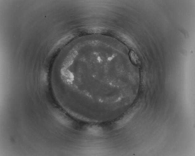 X0000113850258200910081651