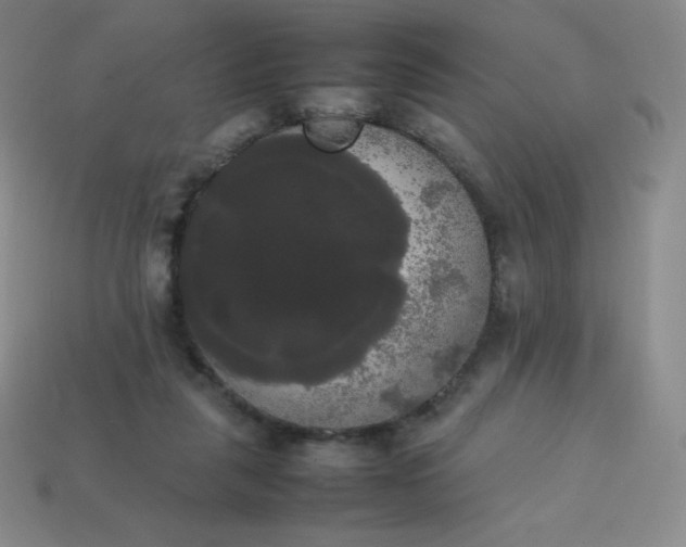 X0000113850259200910081651