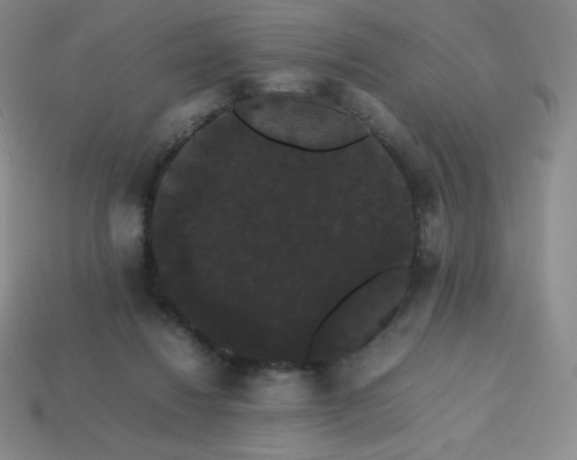 X0000113850260200910081651