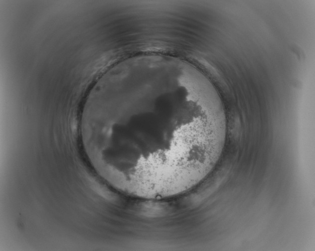 X0000113850261200910081651