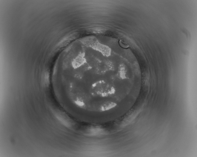 X0000113850262200910081651