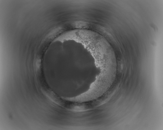 X0000113850263200910081651