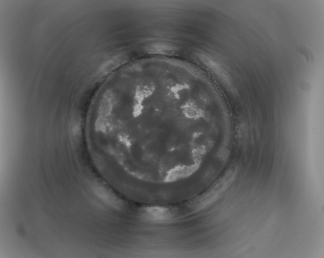 X0000113850265200910081652