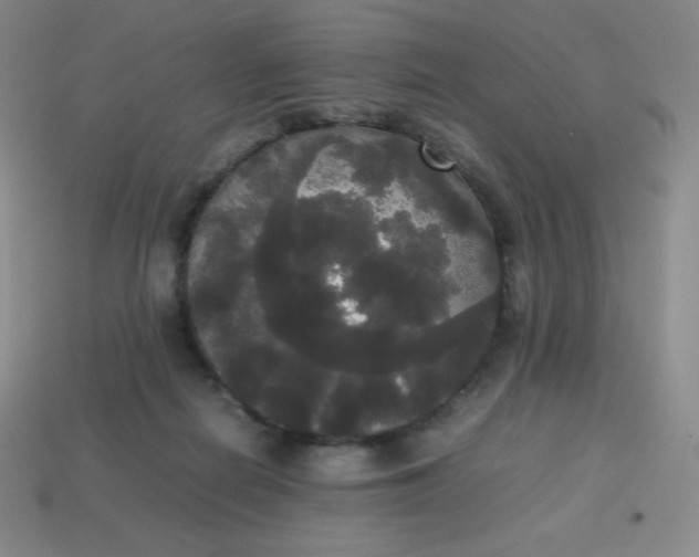 X0000113850266200910081652