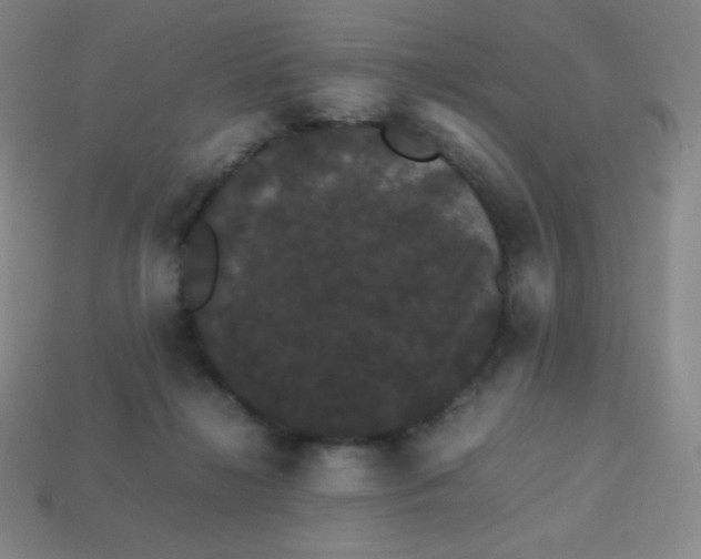 X0000113850268200910081652