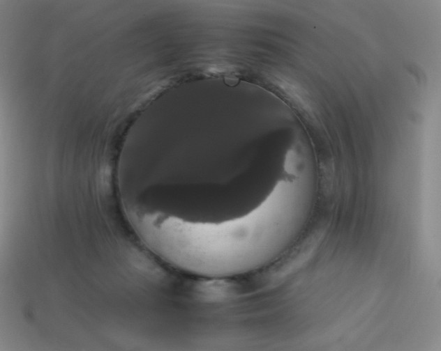 X0000113850269200910081652