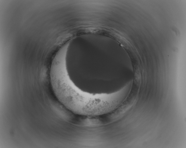 X0000113850270200910081652