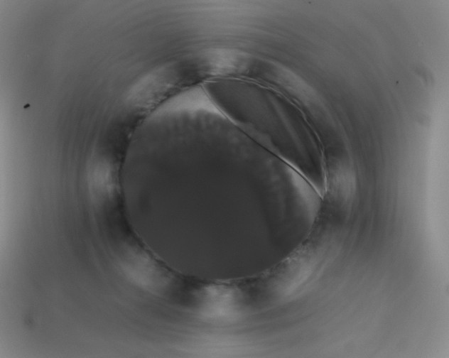 X0000113850272200910081652