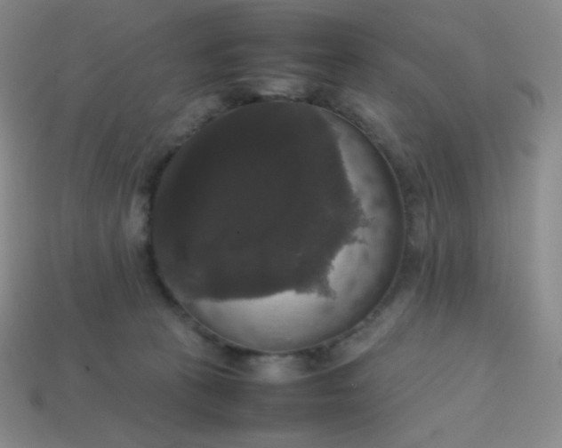 X0000113850273200910081652