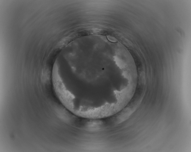 X0000113850274200910081652