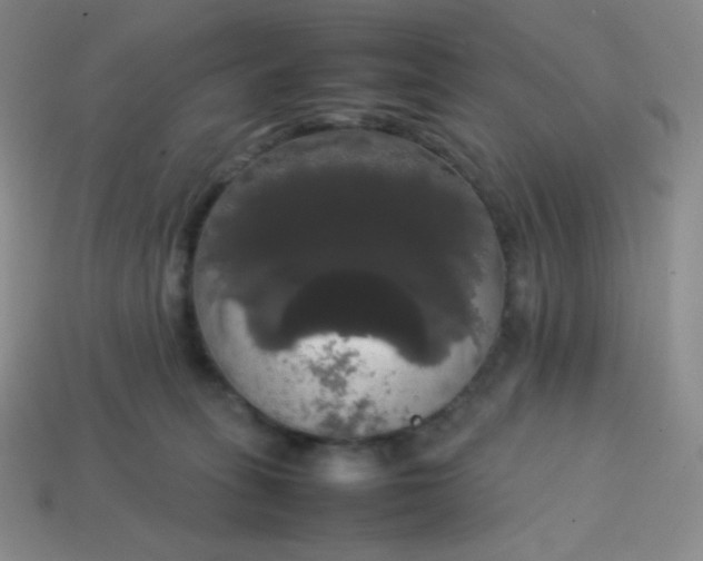 X0000113850275200910081652