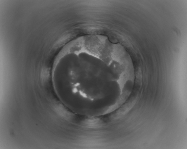 X0000113850278200910081652