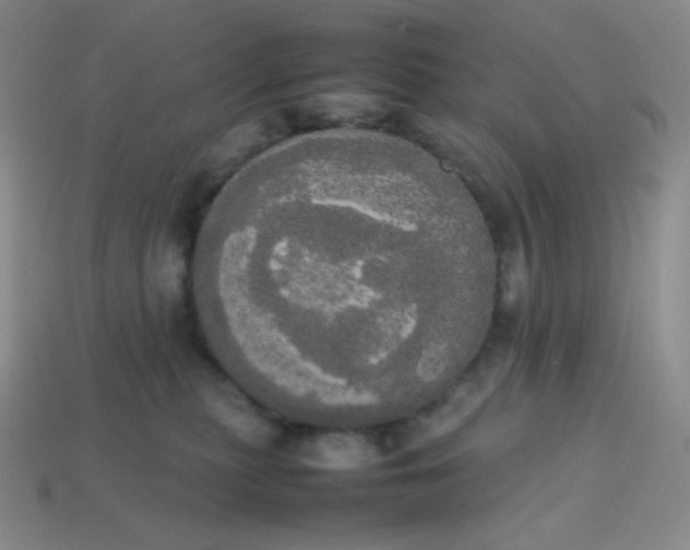 X0000113850279200910081652