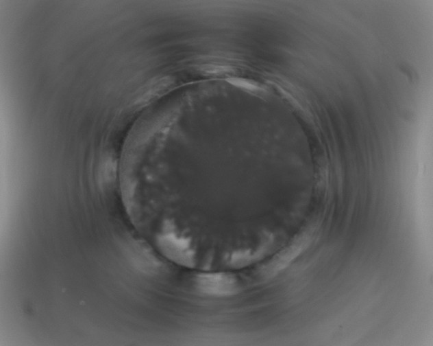 X0000113850281200910081652