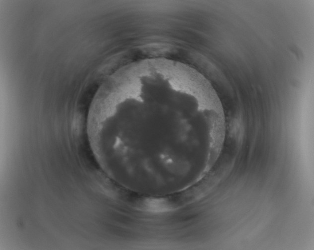 X0000113850283200910081652