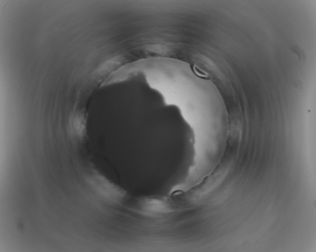 X0000113850285200910081652