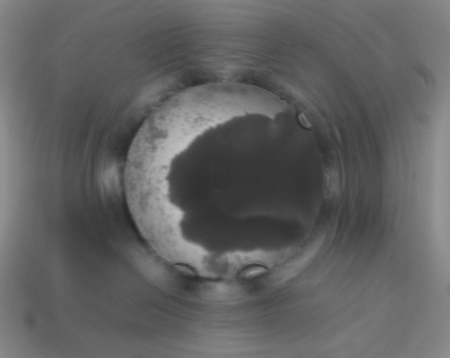 X0000113850286200910081652