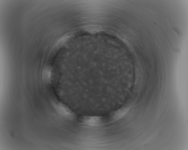 X0000113850288200910081652