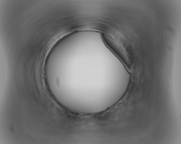 X0000113850289200910081651