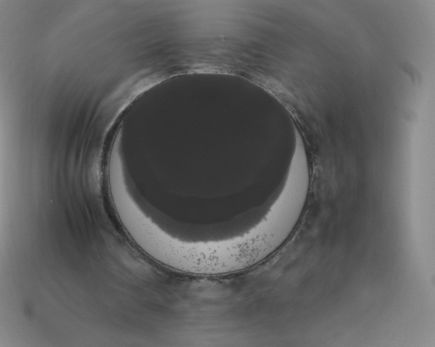 X0000113850290200910081651