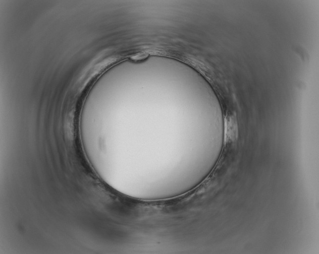 X0000113850291200910081651