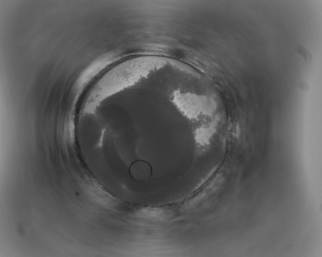 X0000113850294200910081651