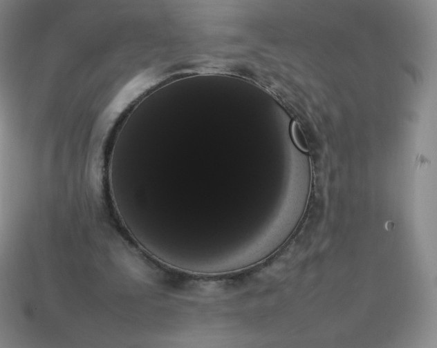 X0000113850295200910081651