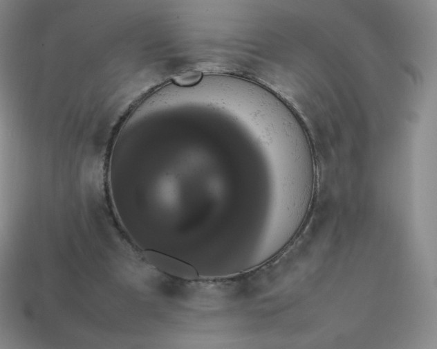 X0000113850297200910081651