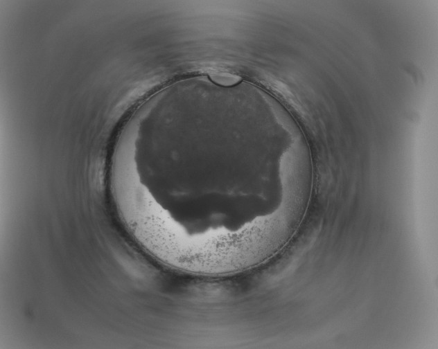 X0000113850299200910081651