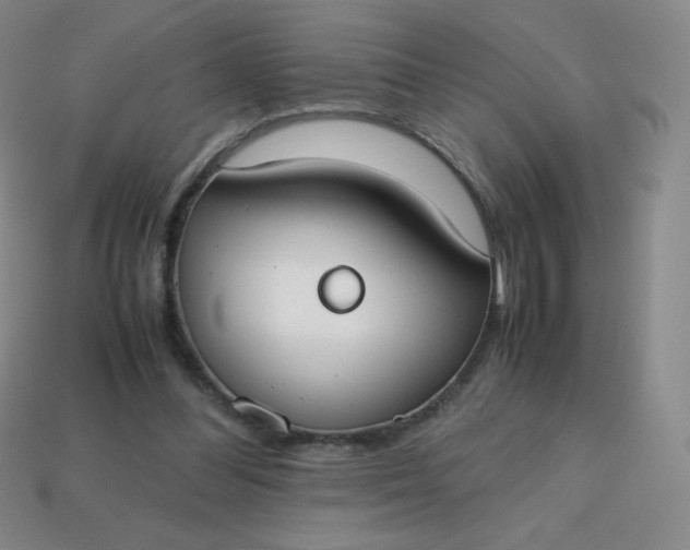 X0000113850300200910081651