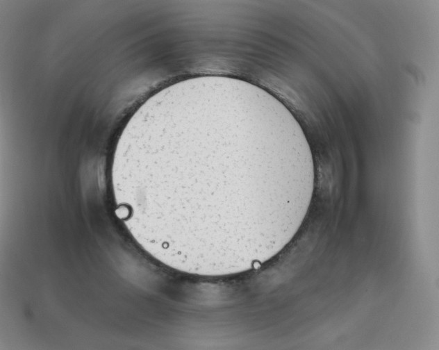 X0000113850302200910081651